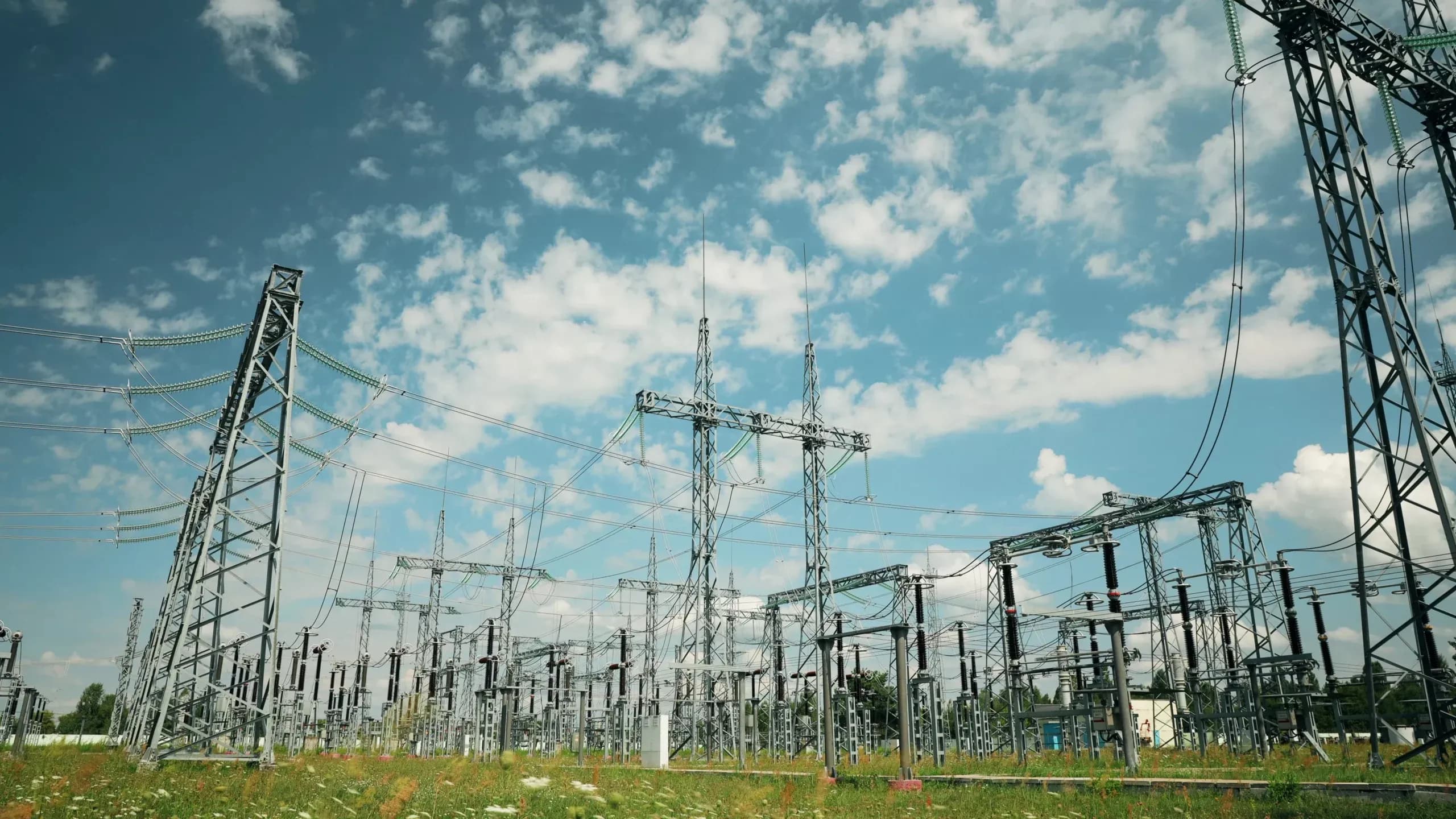 Expanding the grid by 2025: Building the foundation for a successful energy transition